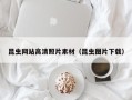 诸城昆虫网站高清照片素材（昆虫图片下载）